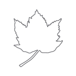 CC Sjablong Maple leaf ST-21731 Nick Agar serien