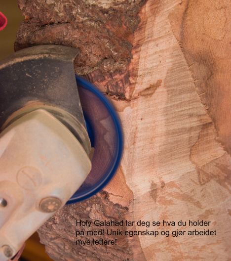 Holey galahad slipedisk HM flat blå grov ø100mm